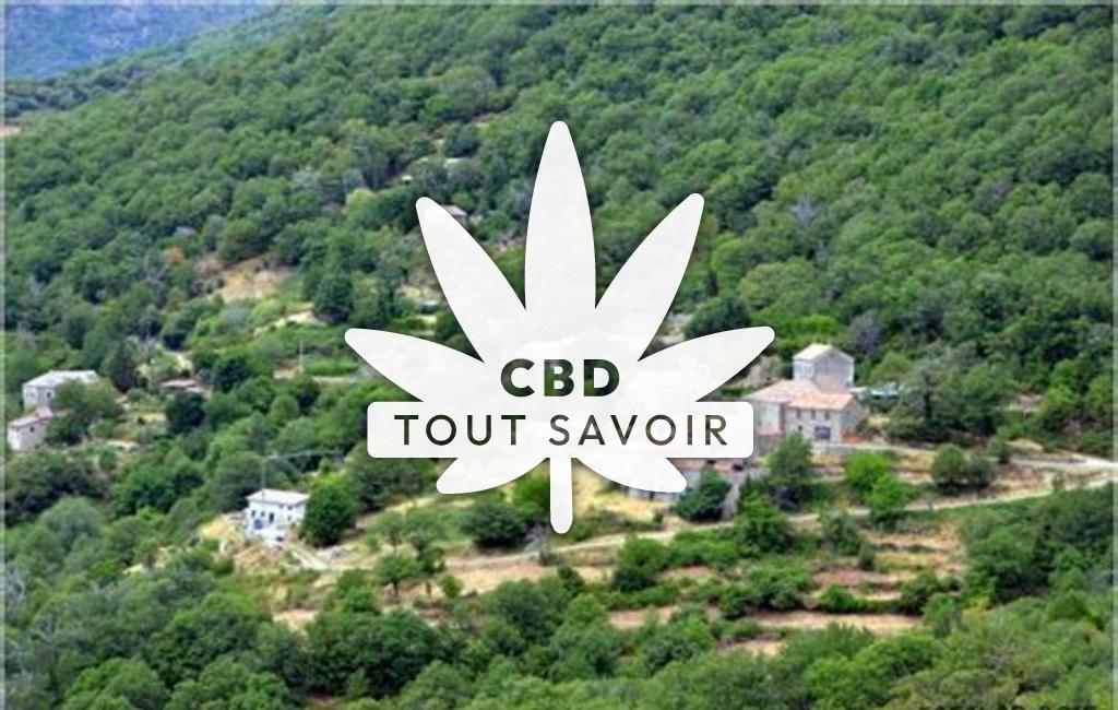 Village à Dompnac avec feuille Cannabis CBD