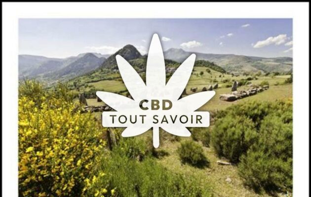 Village à Boree avec feuille Cannabis CBD