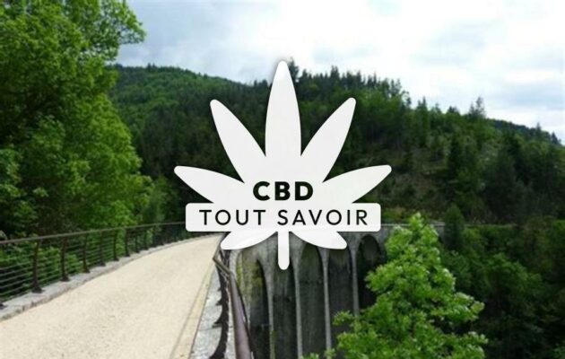 Village à Saint-Julien-D'Intres avec feuille Cannabis CBD