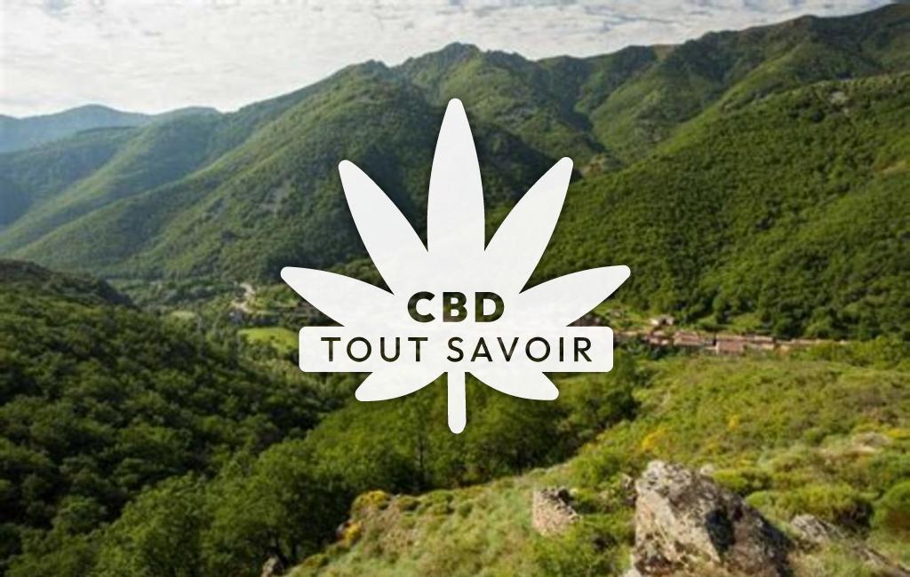 Village à Mayres avec feuille Cannabis CBD