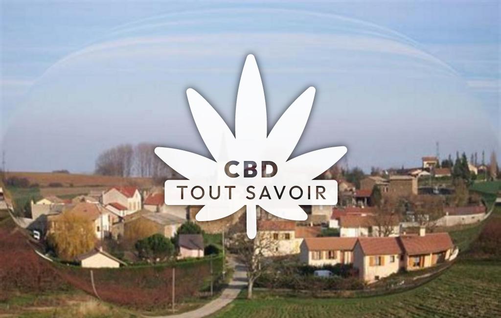 Village à Bogy avec feuille Cannabis CBD