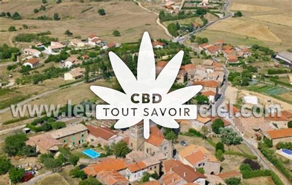 Village à Saint-Jacques-D'Atticieux avec feuille Cannabis CBD