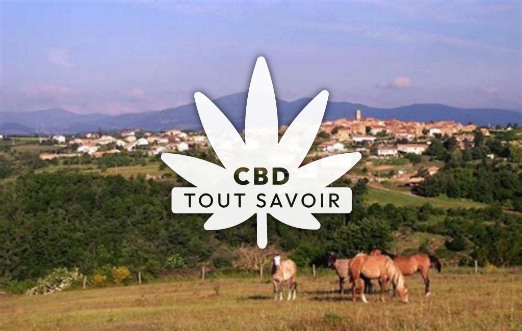 Village à Eclassan avec feuille Cannabis CBD