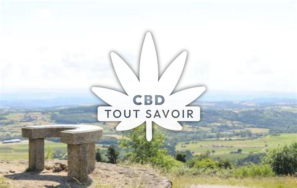 Village à Vaudevant avec feuille Cannabis CBD