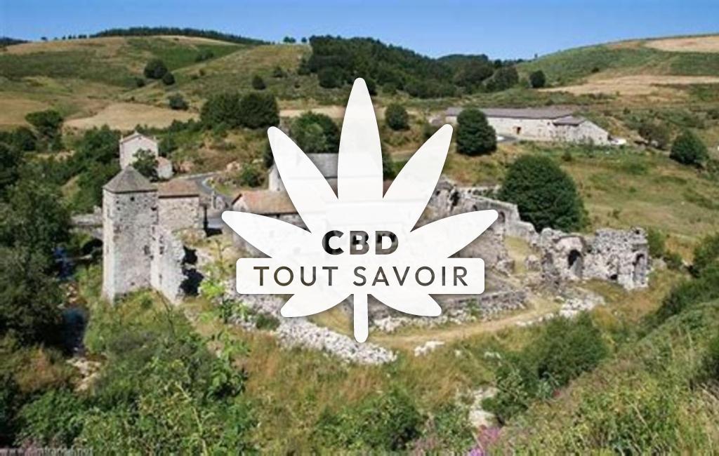 Village à Mazan-l'Abbaye avec feuille Cannabis CBD