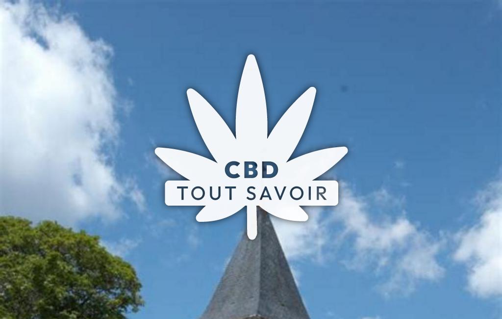 Village à Saint-Pierre-sur-Doux avec feuille Cannabis CBD