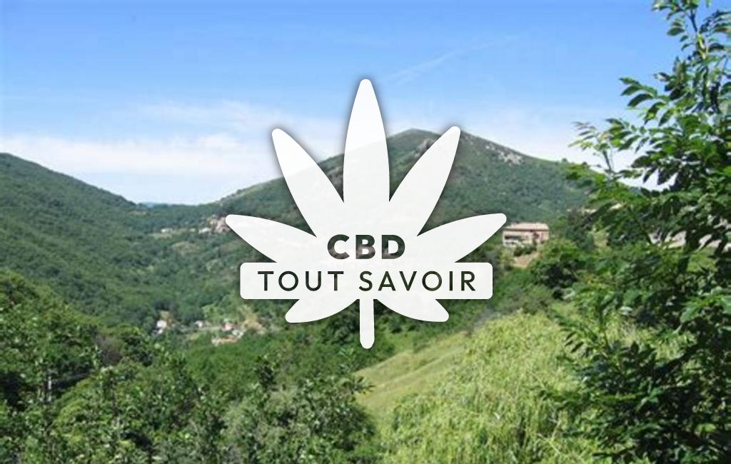 Village à Aizac avec feuille Cannabis CBD