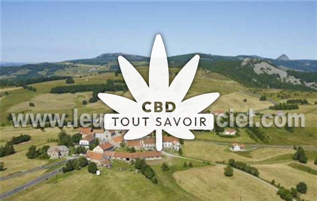 Village à Lachamp-Raphael avec feuille Cannabis CBD