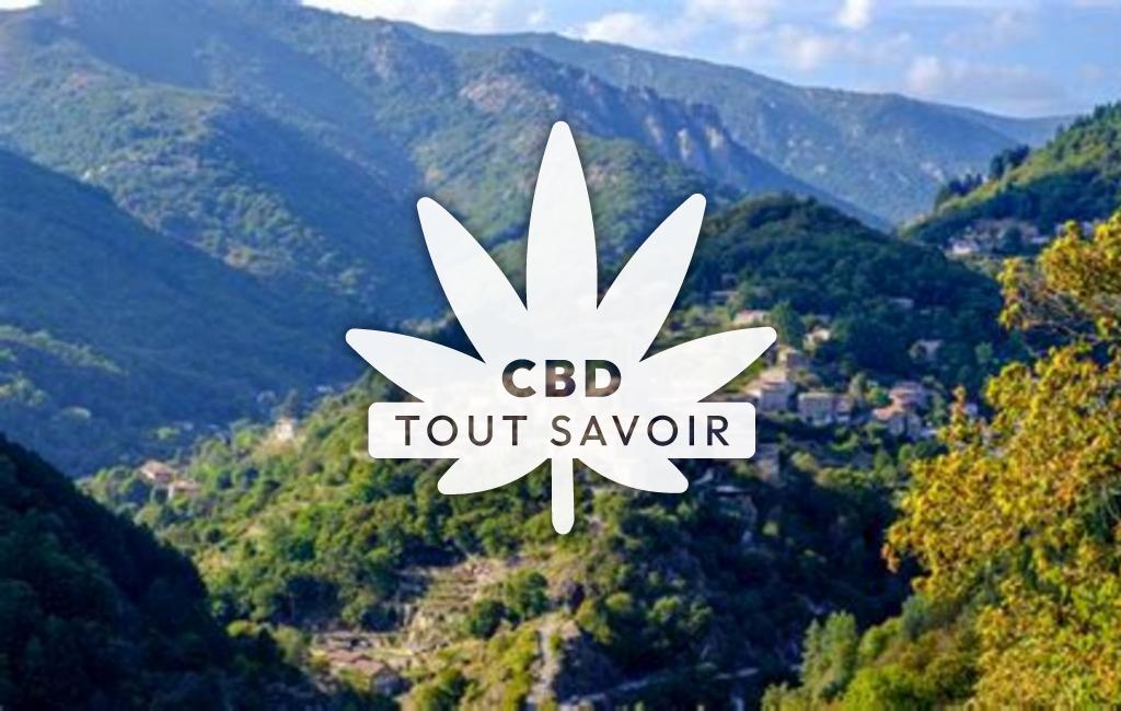 Village à Vallees-D'Antraigues-Asperjoc avec feuille Cannabis CBD