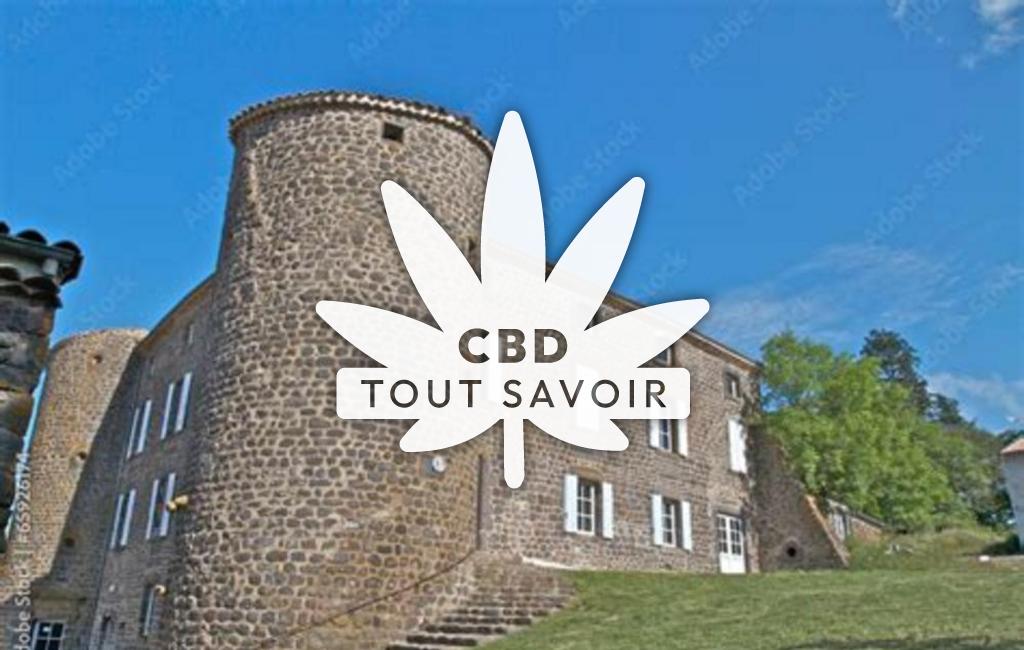 Village à Berzeme avec feuille Cannabis CBD