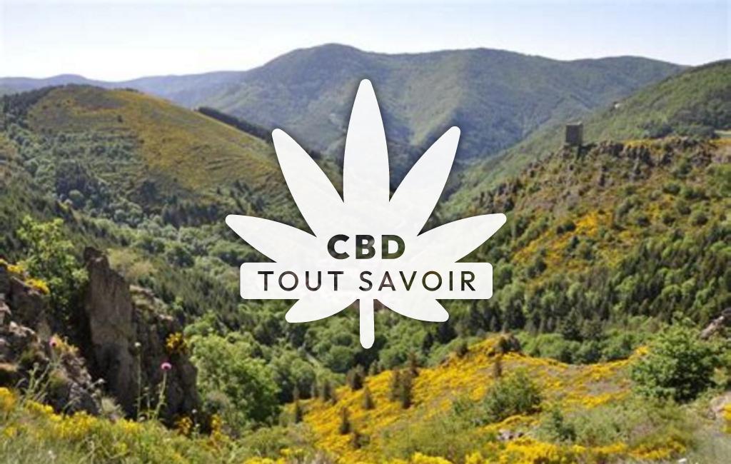 Village à Saint-Laurent-Bains-Laval-D'Aurelle avec feuille Cannabis CBD