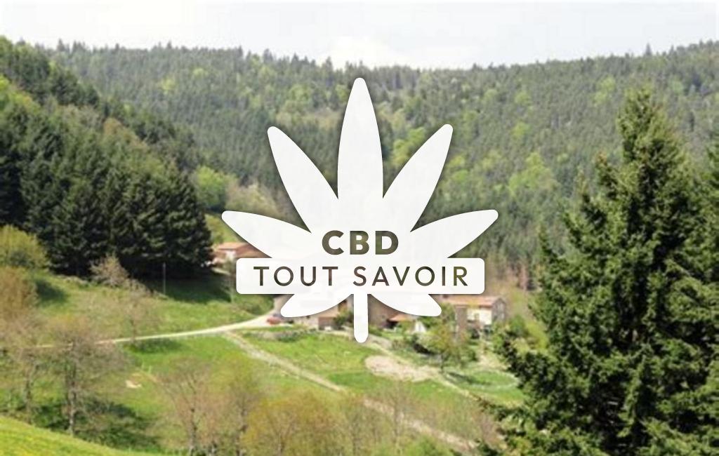 Village à Vanosc avec feuille Cannabis CBD