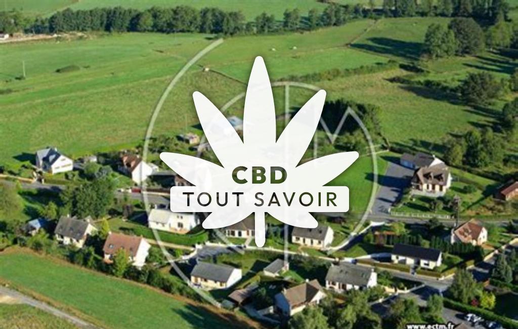 Village à Haudrecy avec feuille Cannabis CBD