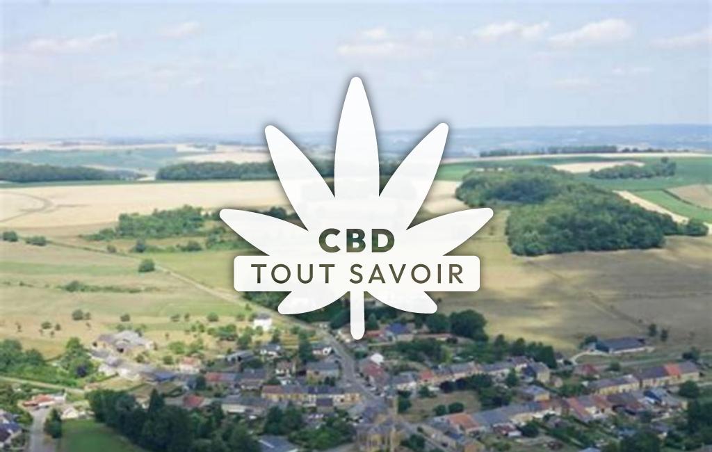 Village à Neuville-les-This avec feuille Cannabis CBD