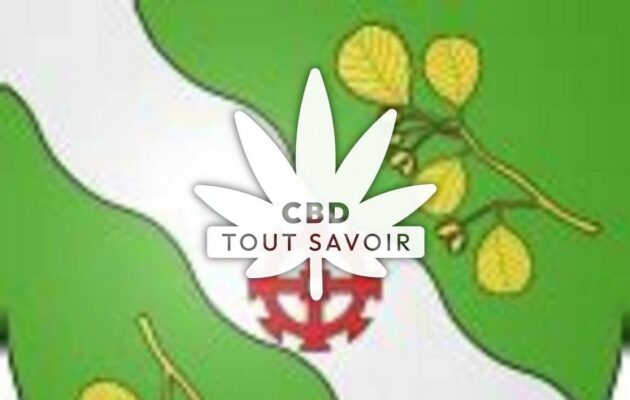 Village à Osnes avec feuille Cannabis CBD