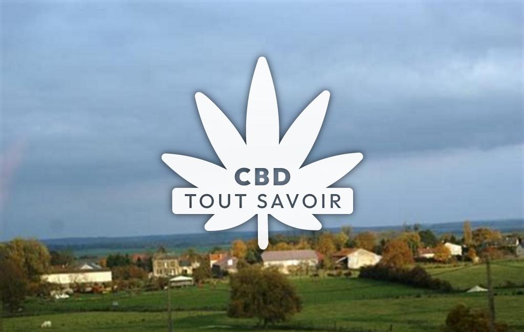 Village à Coulommes-Et-Marqueny avec feuille Cannabis CBD