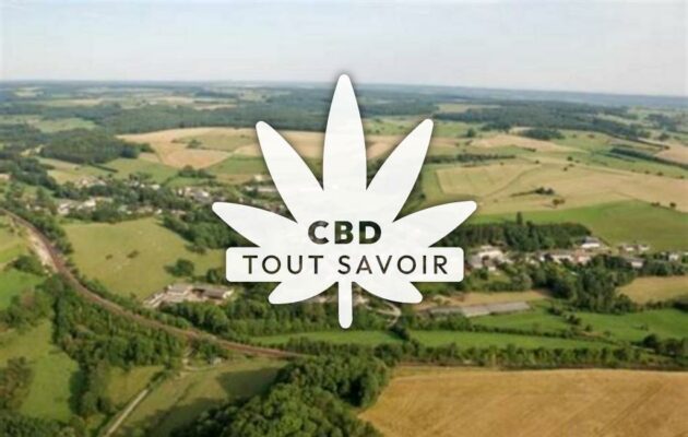 Village à Logny-Bogny avec feuille Cannabis CBD