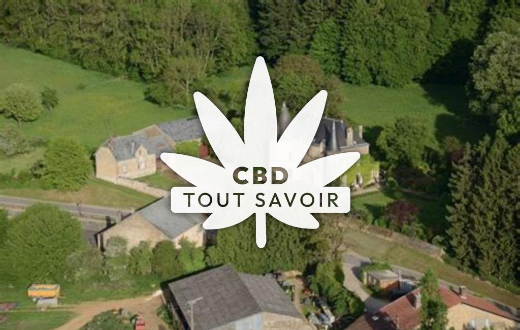 Village à Remilly-les-Pothees avec feuille Cannabis CBD