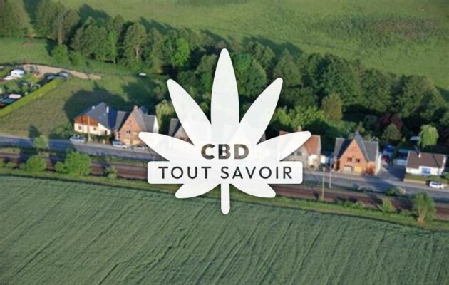 Village à Rouvroy-sur-Audry avec feuille Cannabis CBD