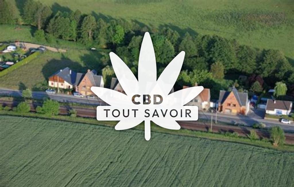 Village à Rouvroy-sur-Audry avec feuille Cannabis CBD