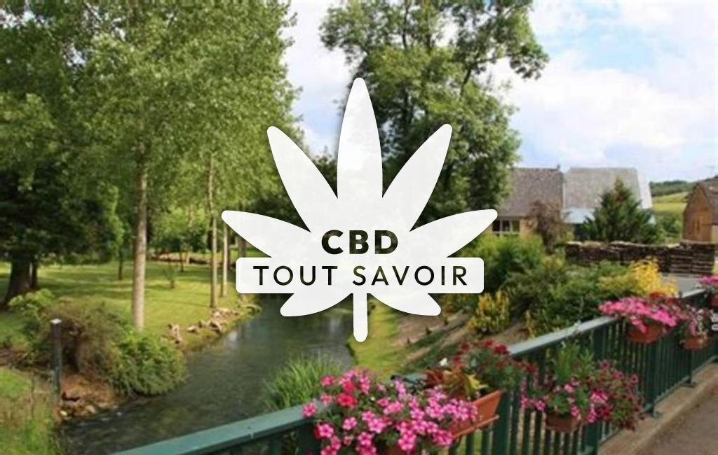 Village à Vaux-Villaine avec feuille Cannabis CBD