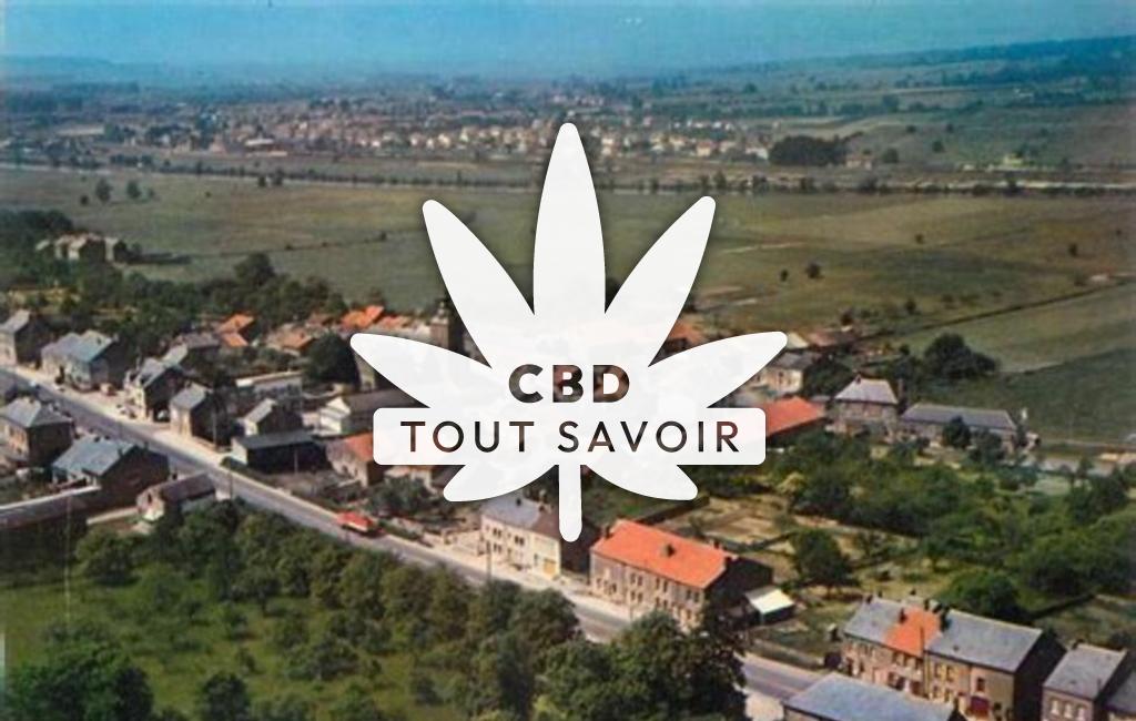 Village à Dom-le-Mesnil avec feuille Cannabis CBD