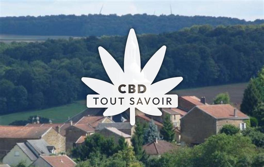 Village à Hannogne-Saint-Martin avec feuille Cannabis CBD