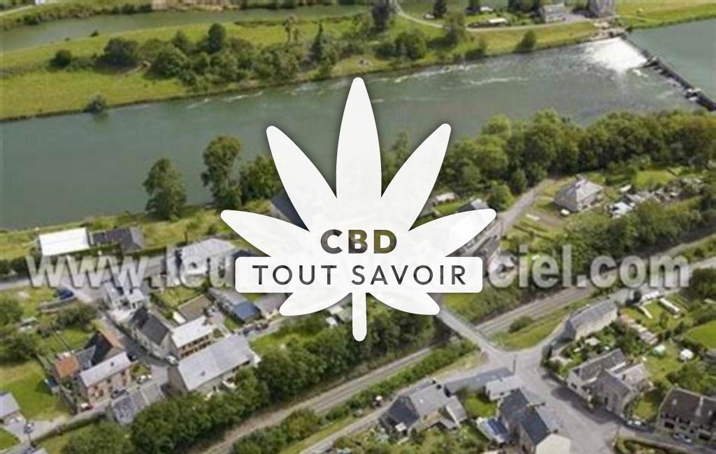 Village à Fepin avec feuille Cannabis CBD