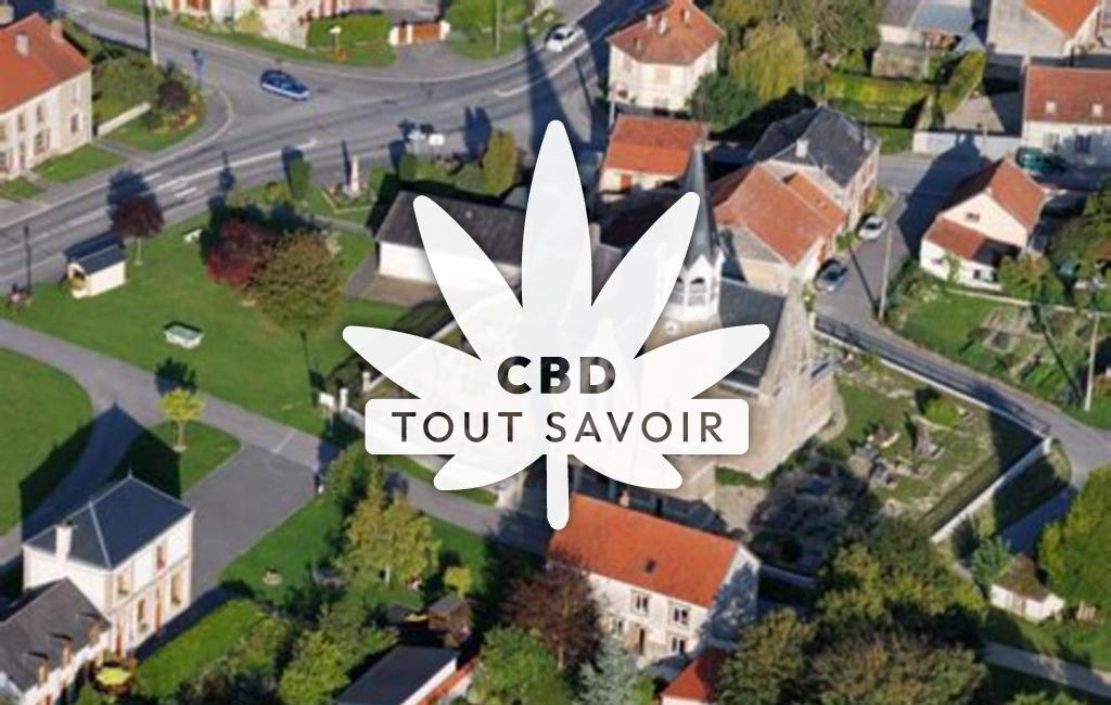 Village à Sault-Saint-Remy avec feuille Cannabis CBD