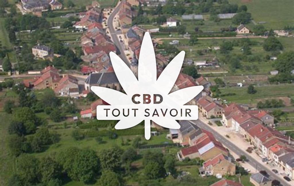 Village à Autrecourt-Et-Pourron avec feuille Cannabis CBD