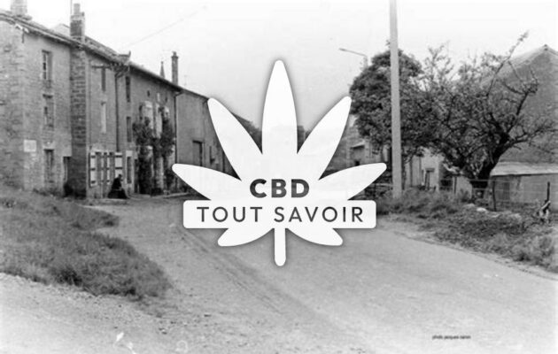 Village à Yoncq avec feuille Cannabis CBD