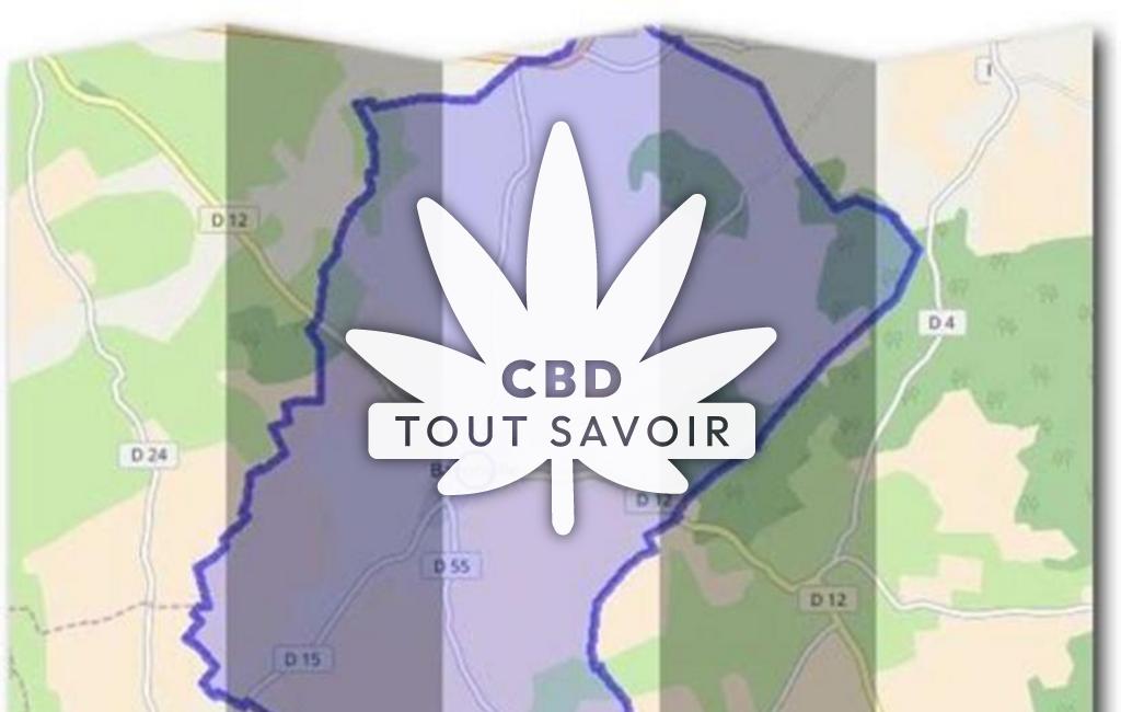 Village à Bayonville avec feuille Cannabis CBD