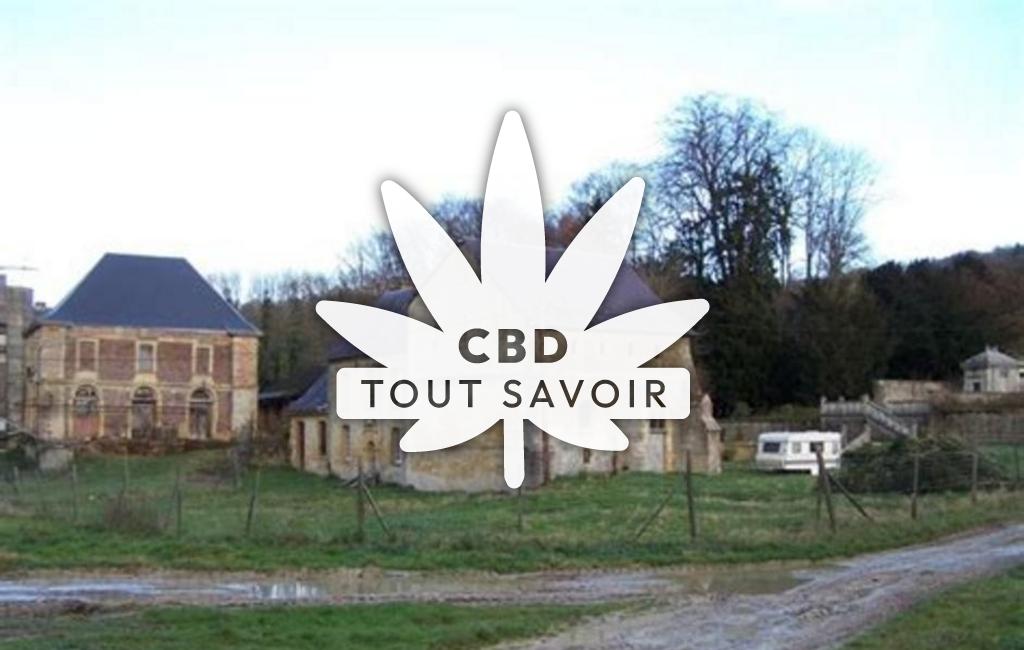 Village à Belval-Bois-des-Dames avec feuille Cannabis CBD