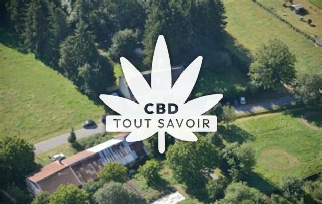 Village à Boult-aux-Bois avec feuille Cannabis CBD