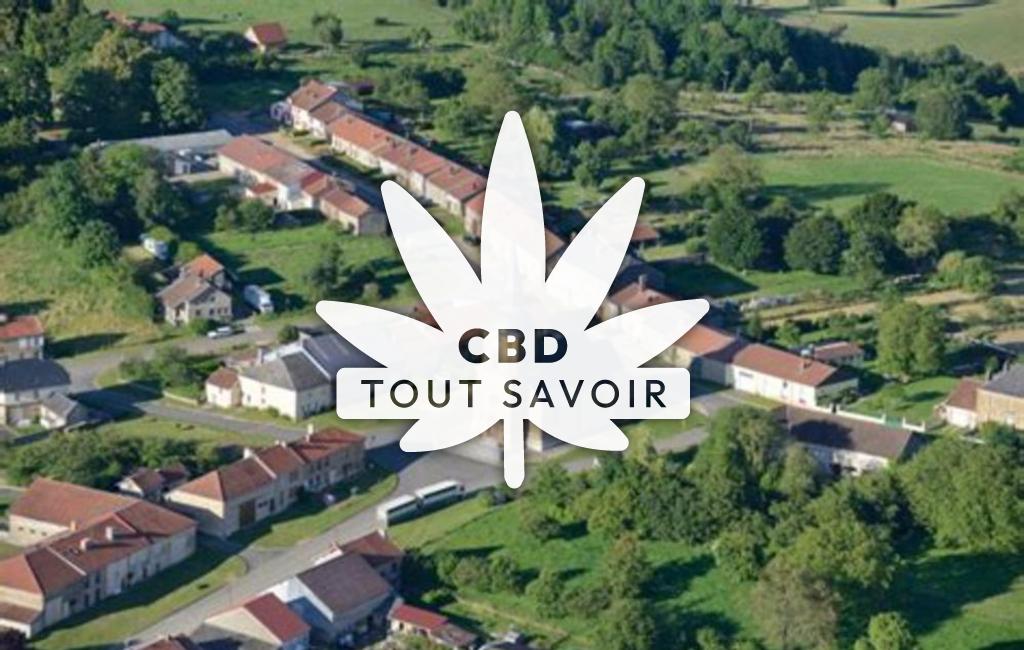 Village à Sommauthe avec feuille Cannabis CBD