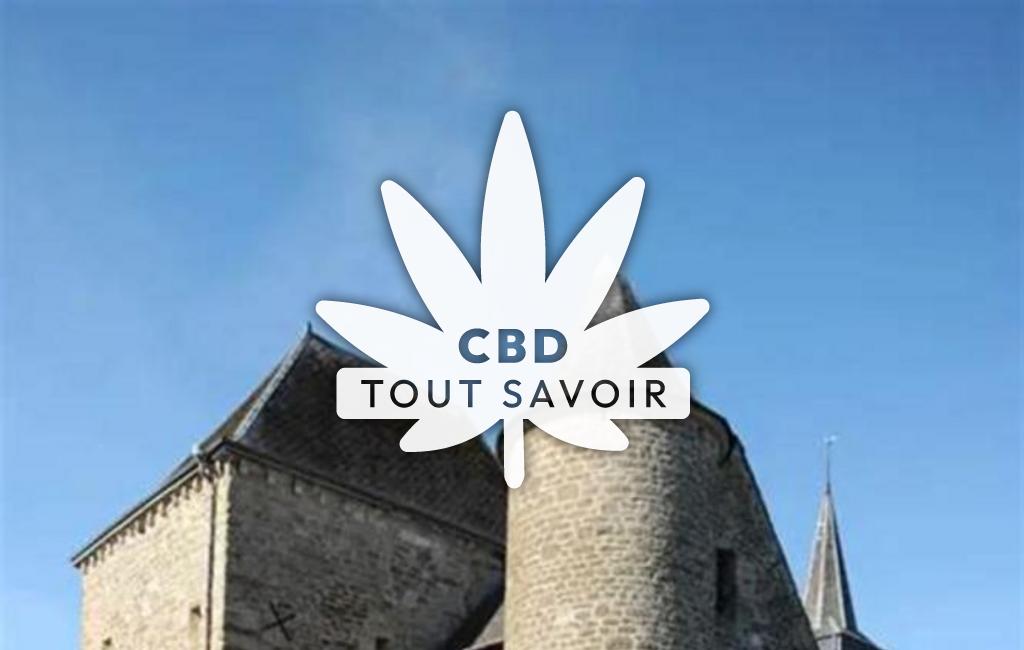 Village à Flaignes-Havys avec feuille Cannabis CBD