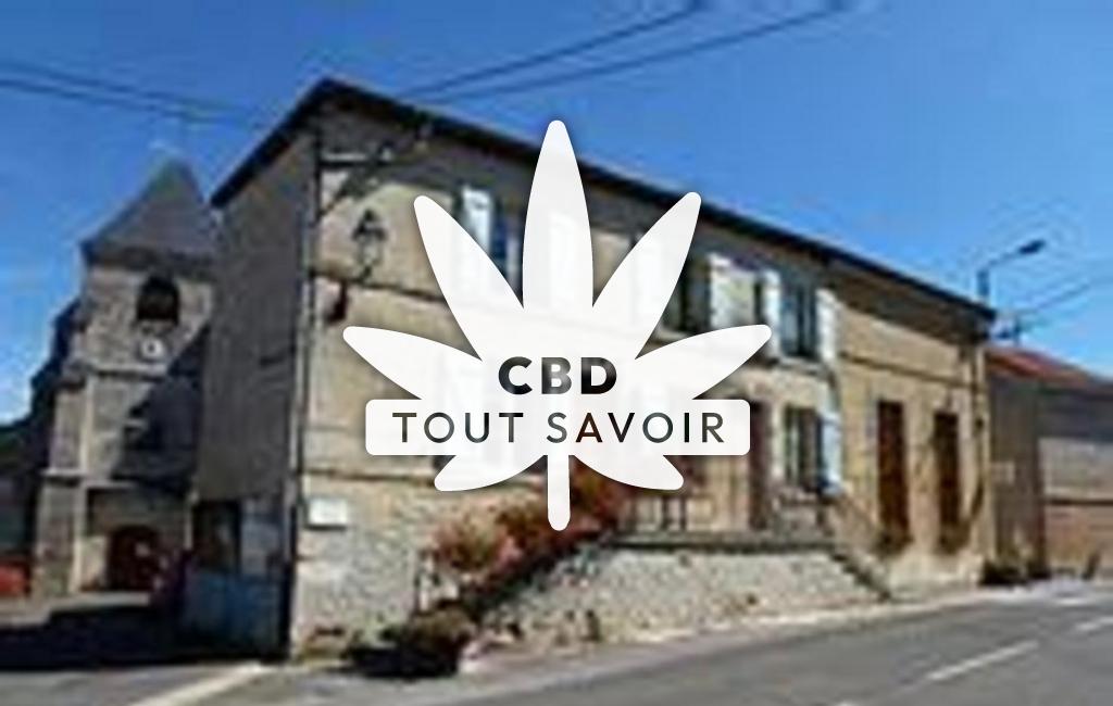 Village à Vaux-Montreuil avec feuille Cannabis CBD