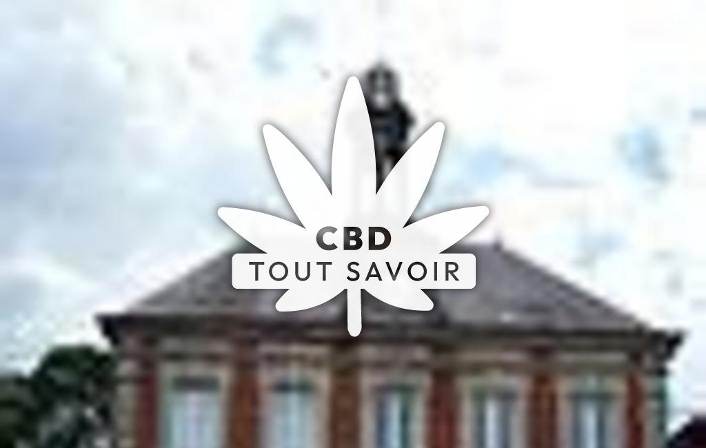 Village à Viel-Saint-Remy avec feuille Cannabis CBD