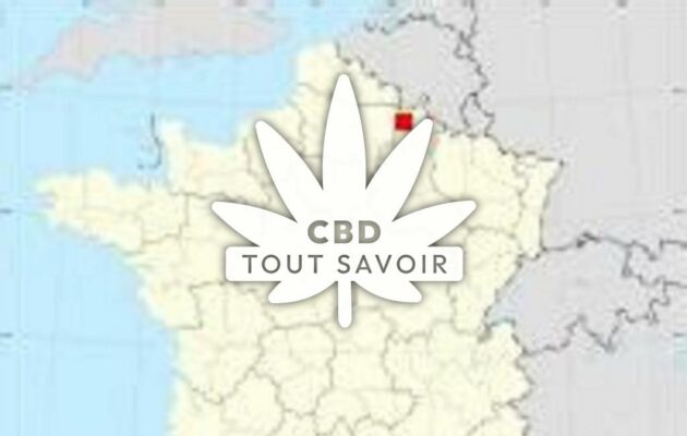 Village à Le-Frety avec feuille Cannabis CBD