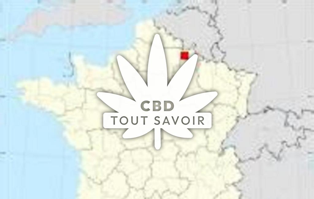 Village à Le-Frety avec feuille Cannabis CBD