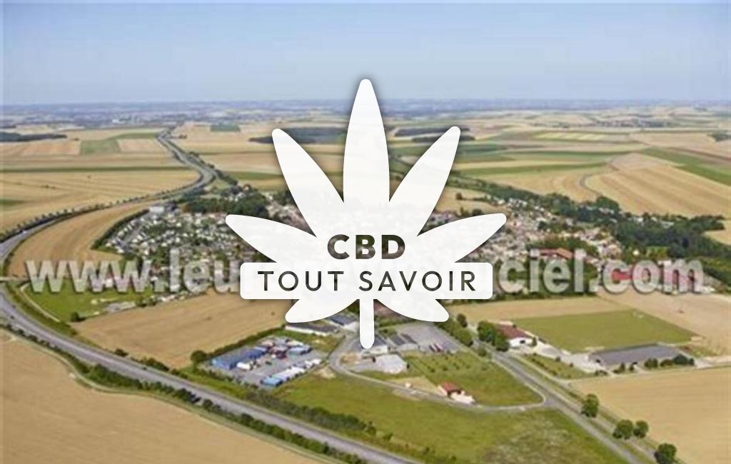 Village à Tagnon avec feuille Cannabis CBD