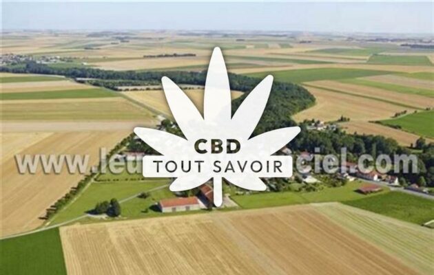 Village à Alincourt avec feuille Cannabis CBD