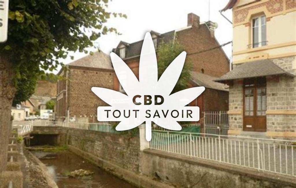 Village à Aubrives avec feuille Cannabis CBD