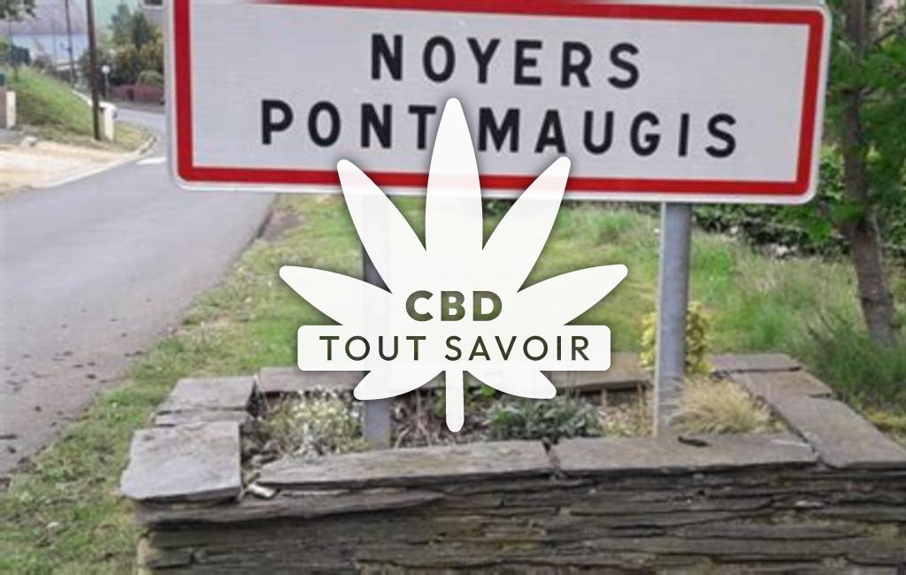 Village à Noyers-Pont-Maugis avec feuille Cannabis CBD