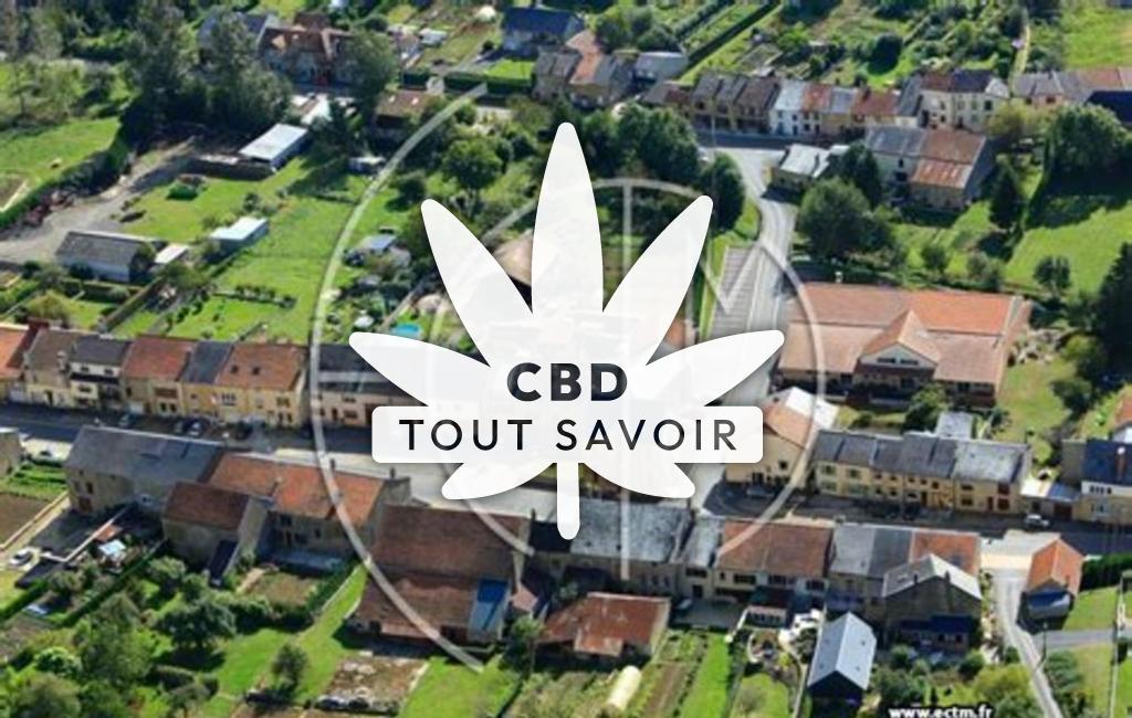 Village à Thelonne avec feuille Cannabis CBD