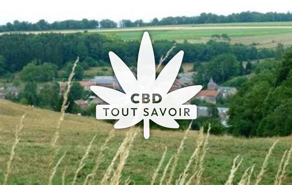 Village à Sapogne-sur-Marche avec feuille Cannabis CBD