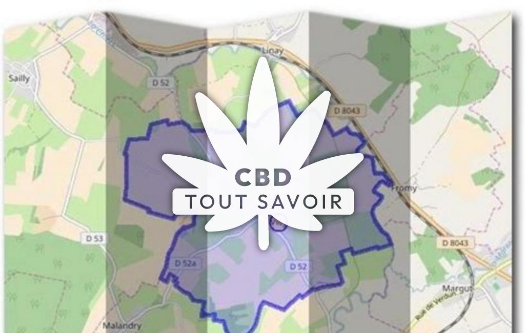 Village à Villy avec feuille Cannabis CBD