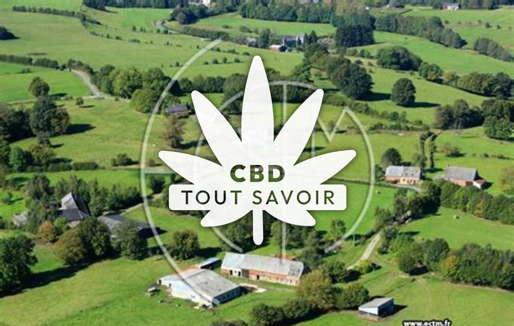 Village à La-Neuville-aux-Joutes avec feuille Cannabis CBD