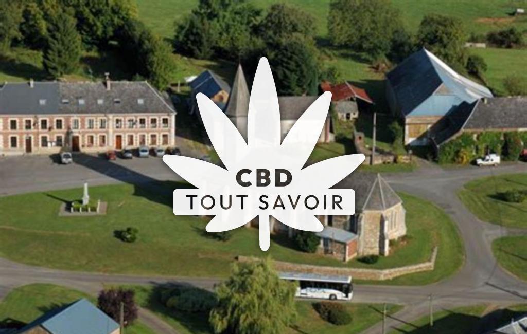 Village à Neuville-Lez-Beaulieu avec feuille Cannabis CBD