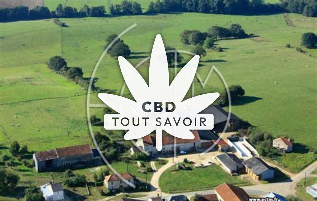 Village à Artaise-le-Vivier avec feuille Cannabis CBD